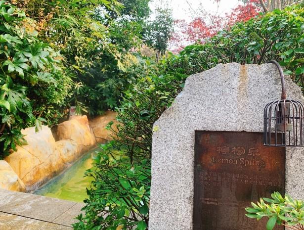 杭州临安湍口温泉星泉谷度假村,临安湍口众安氡温泉度假酒店套餐