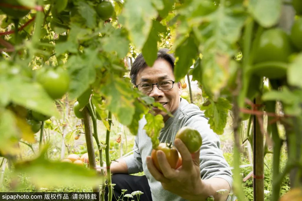 北京秋季采摘最全攻略,春日踏青采摘