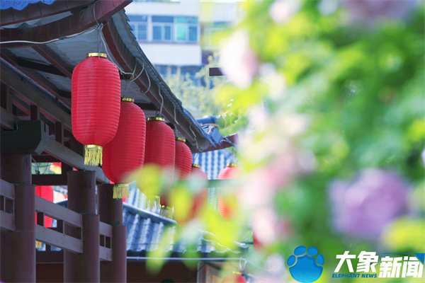 花开时节动京城最美不过洛阳城,四月洛阳美如画千年帝都是花城