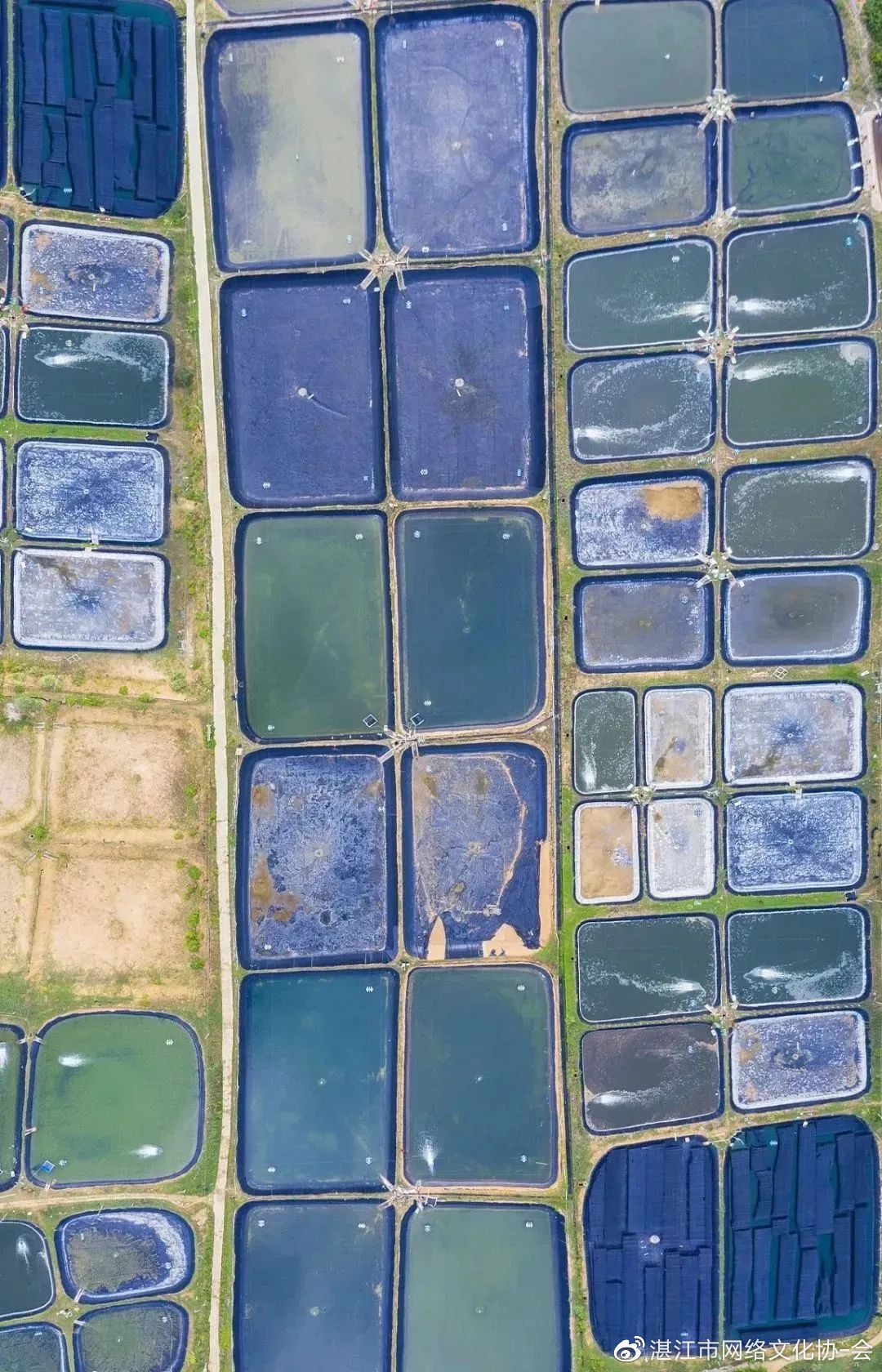 一夜爆火!海南游客骑电动车一日游徐闻