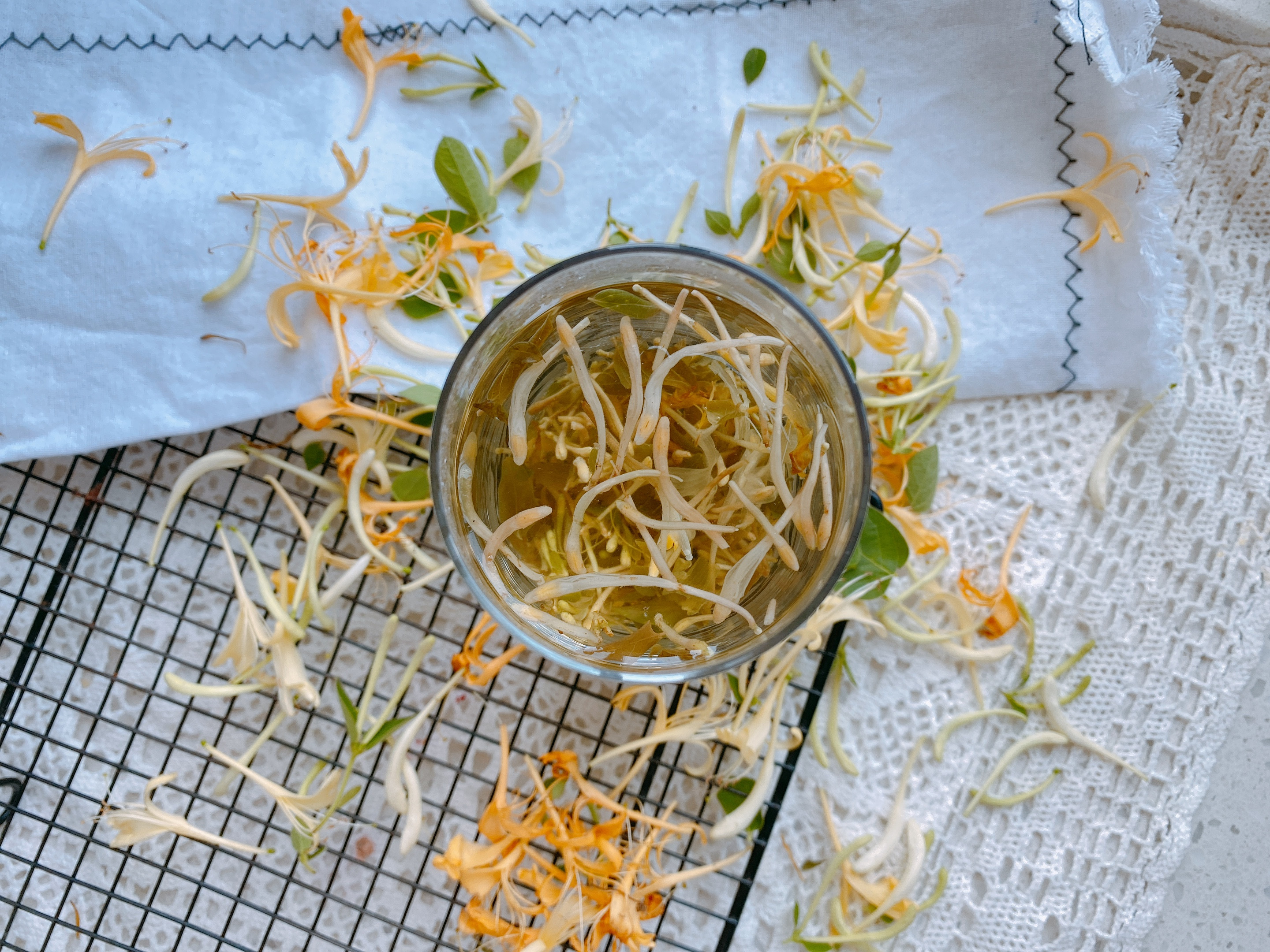 如何自制金银花茶,家庭制作金银花茶的方法