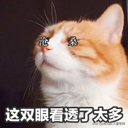 考研总觉得复习跟不上进度,考研拖延