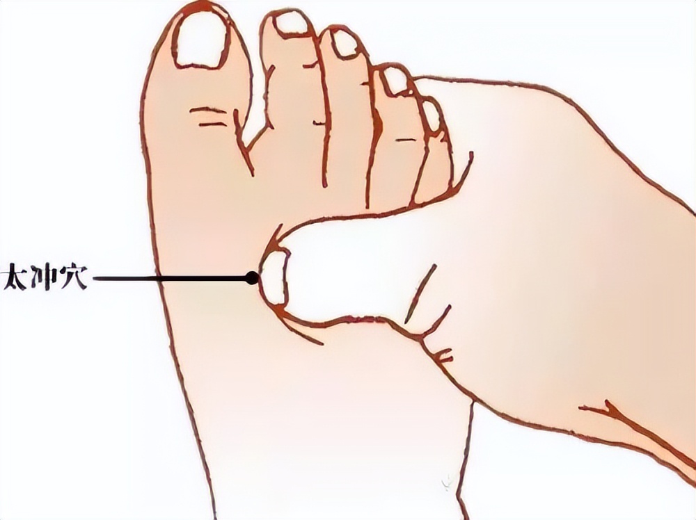 五种中药伤肝已经上了黑名单,5种中药已被拉入伤肝黑名单