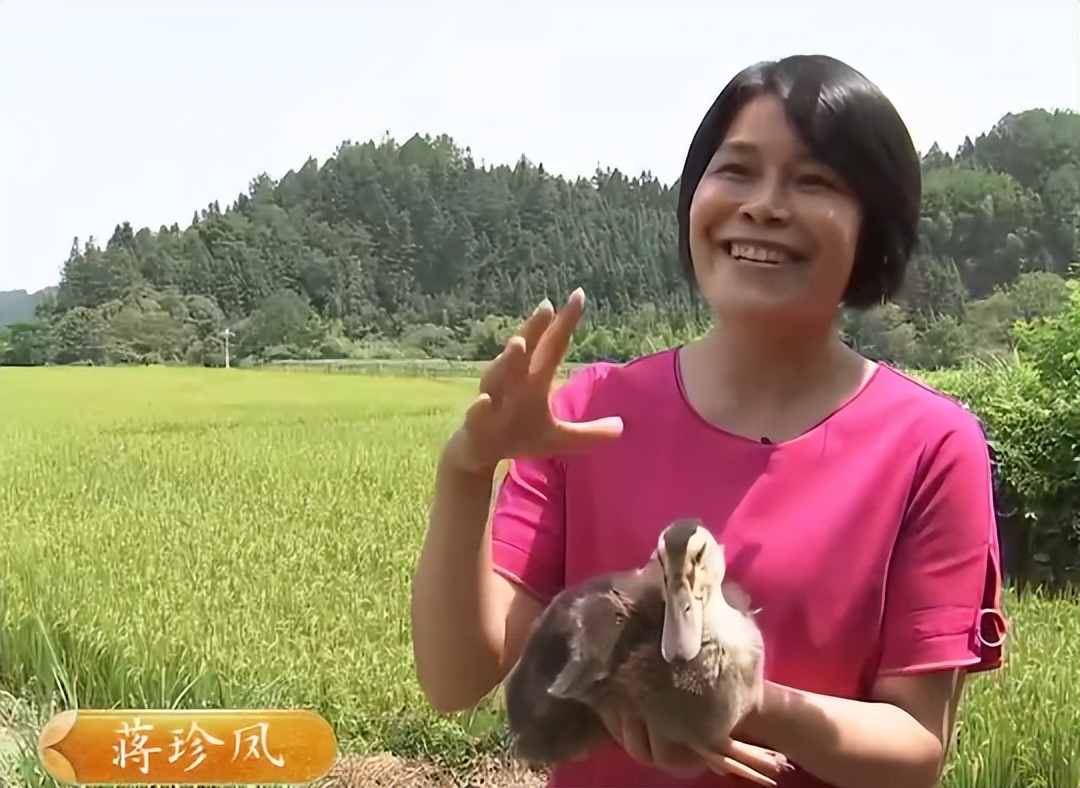 种植300亩水稻一年纯利润将近20万,农民种水稻赚两千万