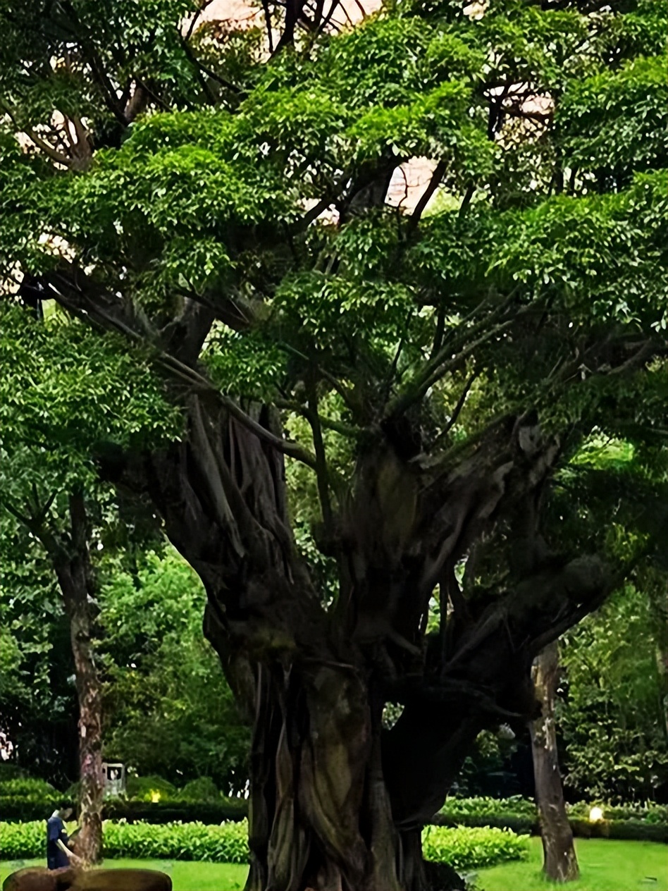 咏秋天（07）马致远《天净沙·秋思》：“曲状元”与“秋思之祖”