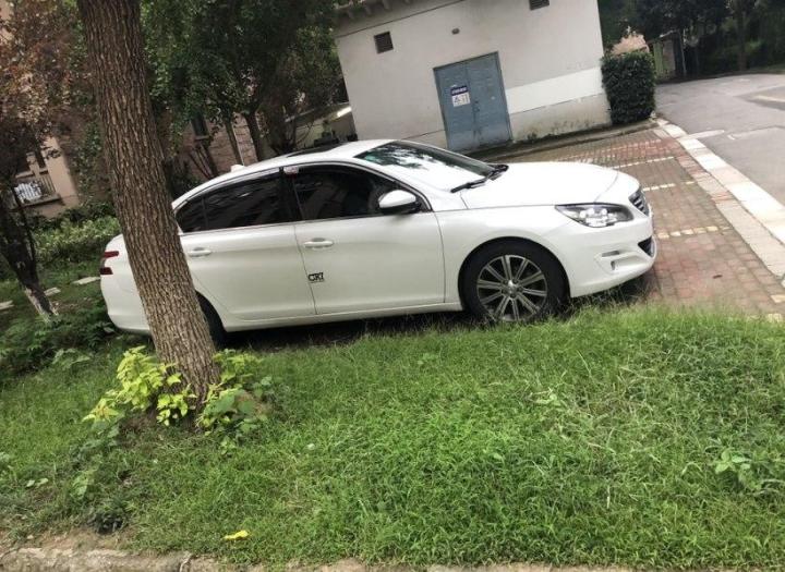 标致408烧机油是通病吗,标致408烧机油解决方案