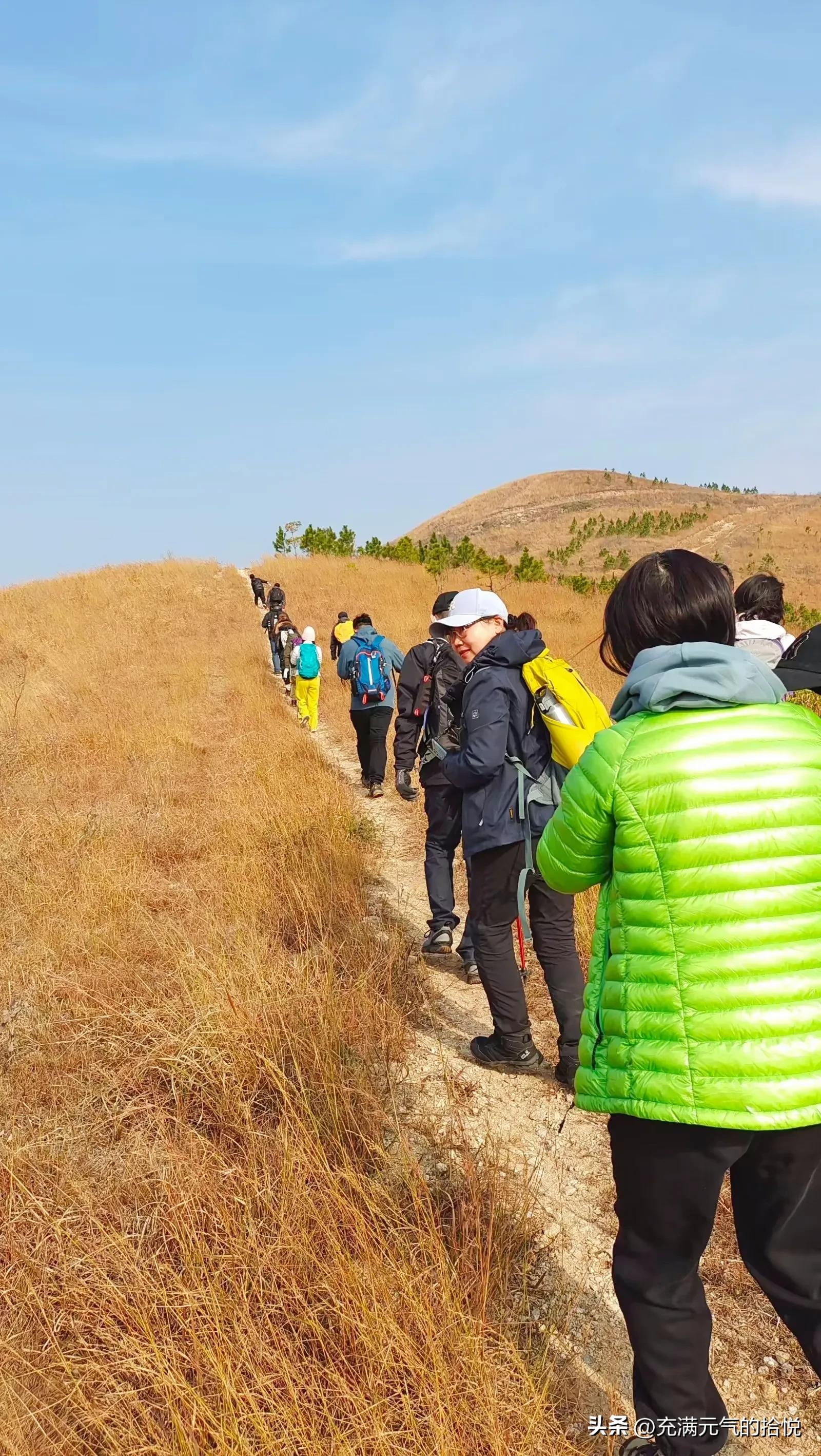 武汉龙王尖是野山吗,龙王尖和云雾山
