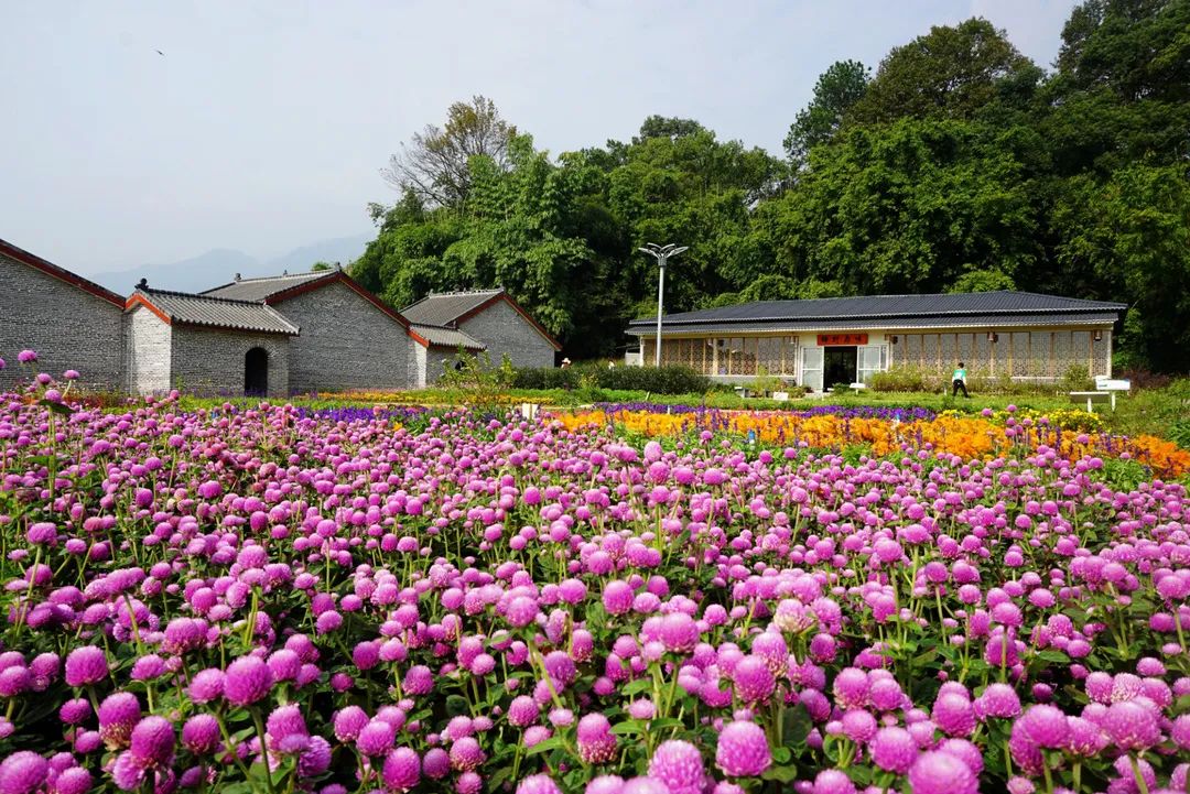 閲戠涔嬬害,閲戠鍗佹湀鍥藉簡涓鍋囨湡浣忓鏀荤暐