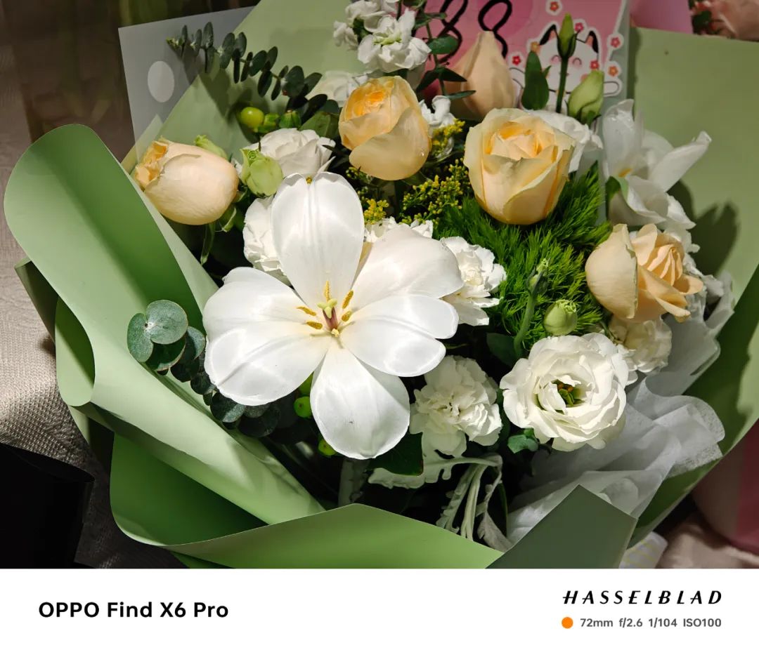 oppofindx6系列开启全主摄时代,oppofindx6pro深度测评多少倍变焦