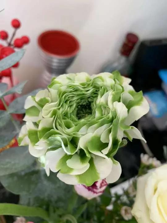 岁月斑驳留下来的都是静好时光,岁月斑驳愿时光静好