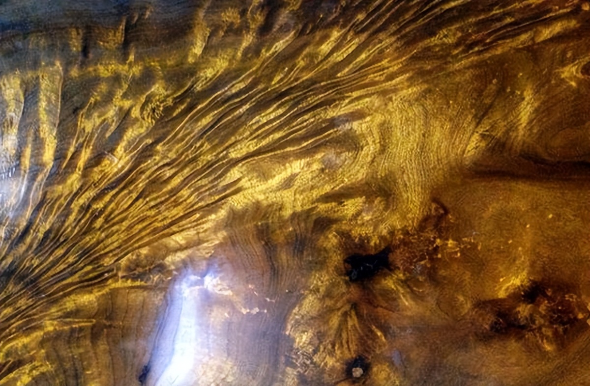 美出天际,流光溢彩的金丝楠木