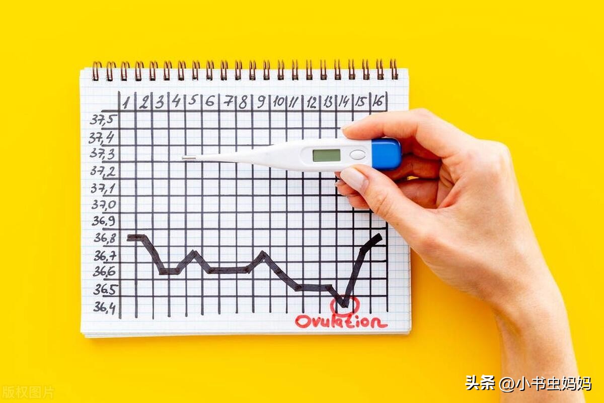 女性受孕最佳时间,女性受孕最佳时间是排卵后