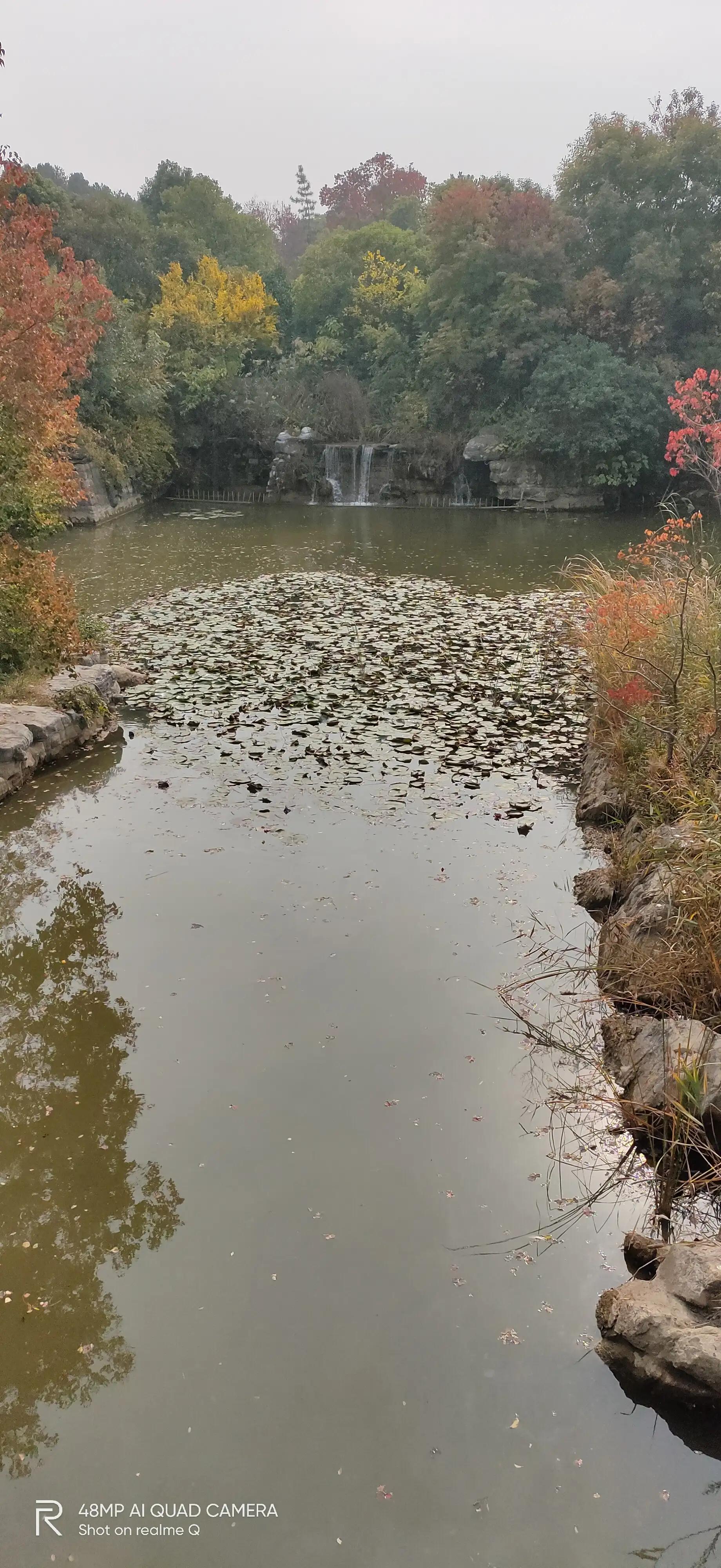 徐州彭祖园森林探险,徐州彭祖园名人石像