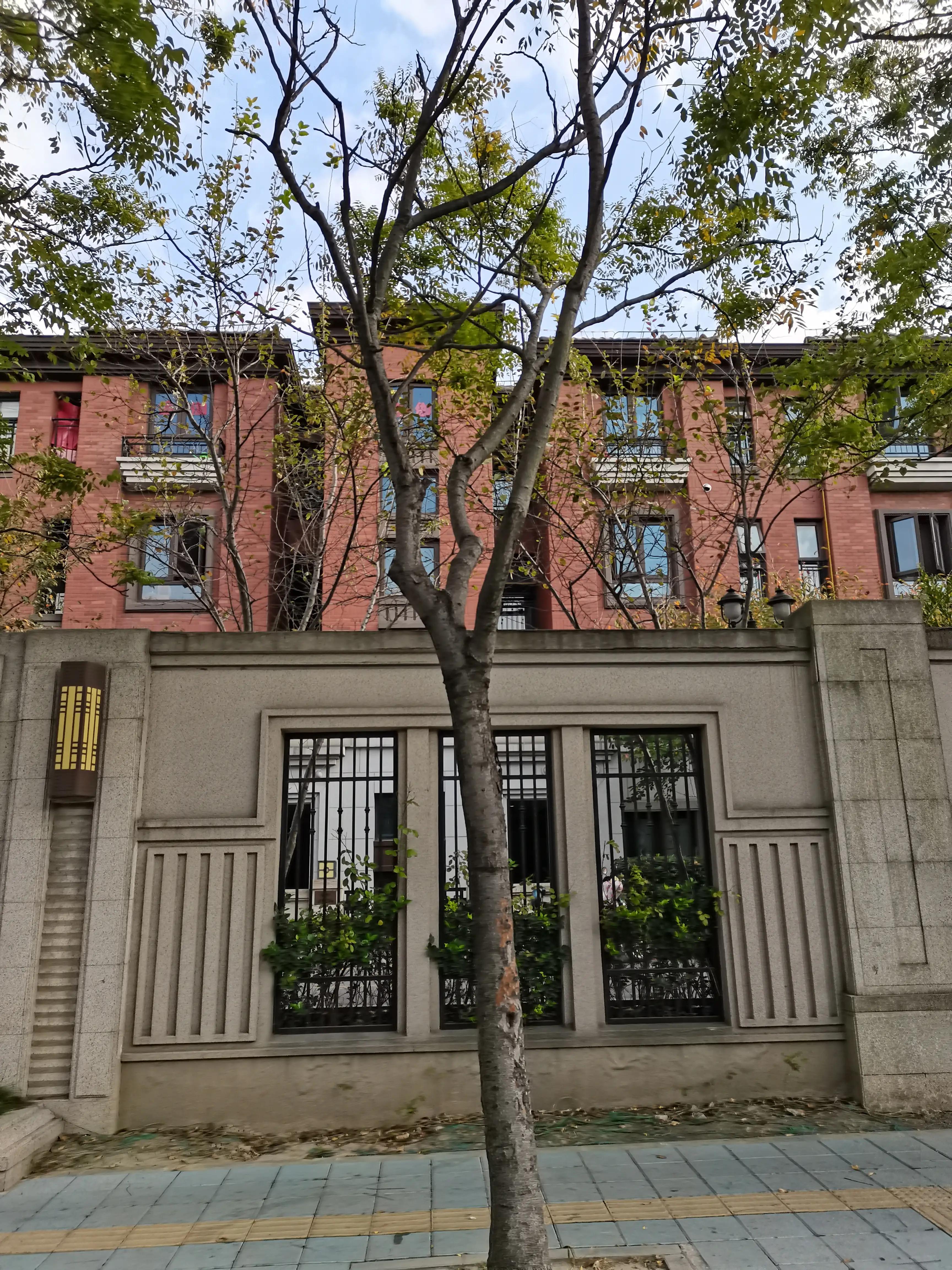 周末美兰湖,宝山美兰湖