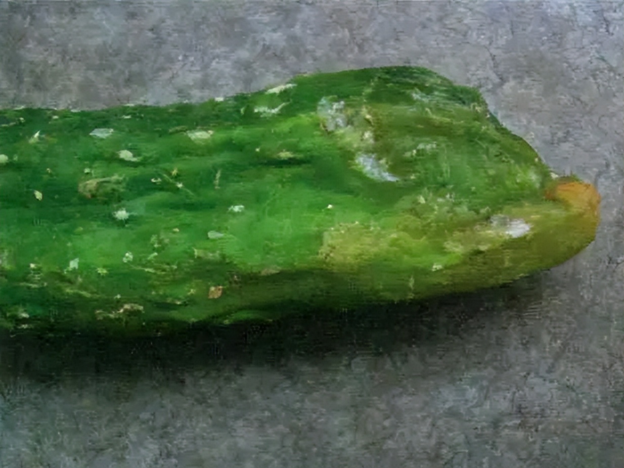 快速检测真菌感染,快速识别作物病害