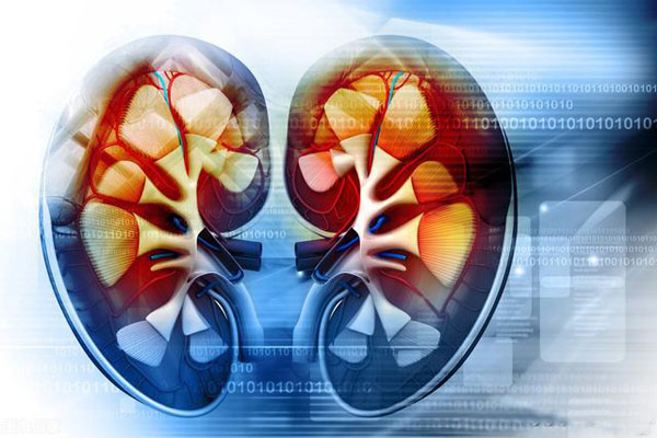 肾病导致肺栓塞多久能恢复,男子肾衰只因一个药