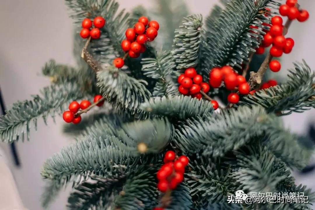 harrywinston漂亮珠宝,harrywinston时尚芭莎