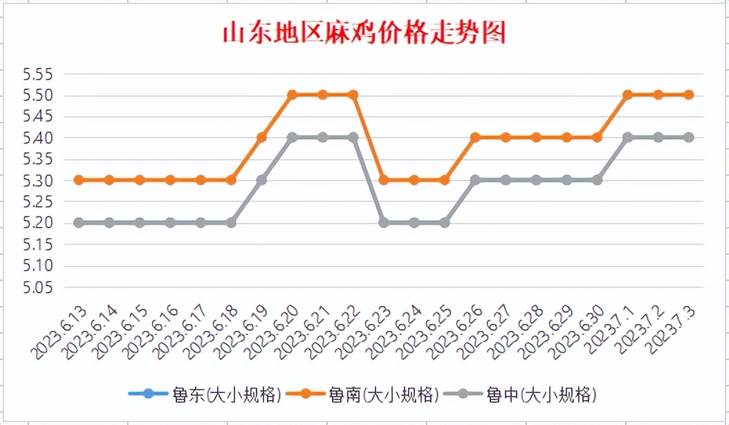 今日麻鸡母苗最新价目表,最近铁脚麻鸡苗价格