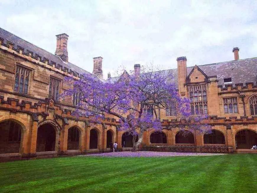 2021年中外合作办学昆士兰大学,澳洲布里斯班昆士兰大学