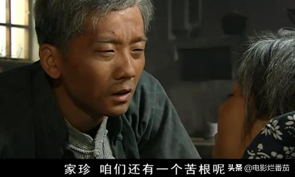 给过去30年最好的历史剧排个名,好看的家庭年代老剧排行榜前十名