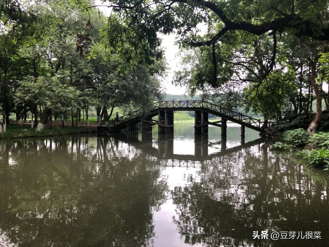 老婆老是查账是什么心态,老婆经常查账是什么心理