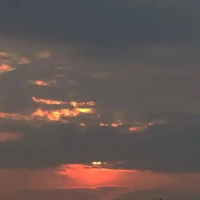 朋友圈背景送给大家,朋友圈背景送你一朵花