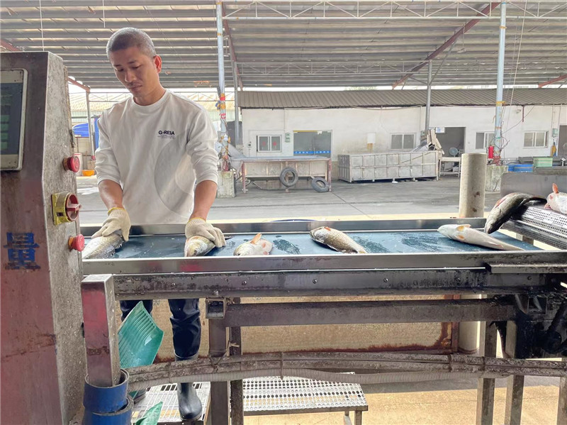 当冷链大咖遇上斯堪尼亚卡车，带您看珠海丰链的风生水起之路