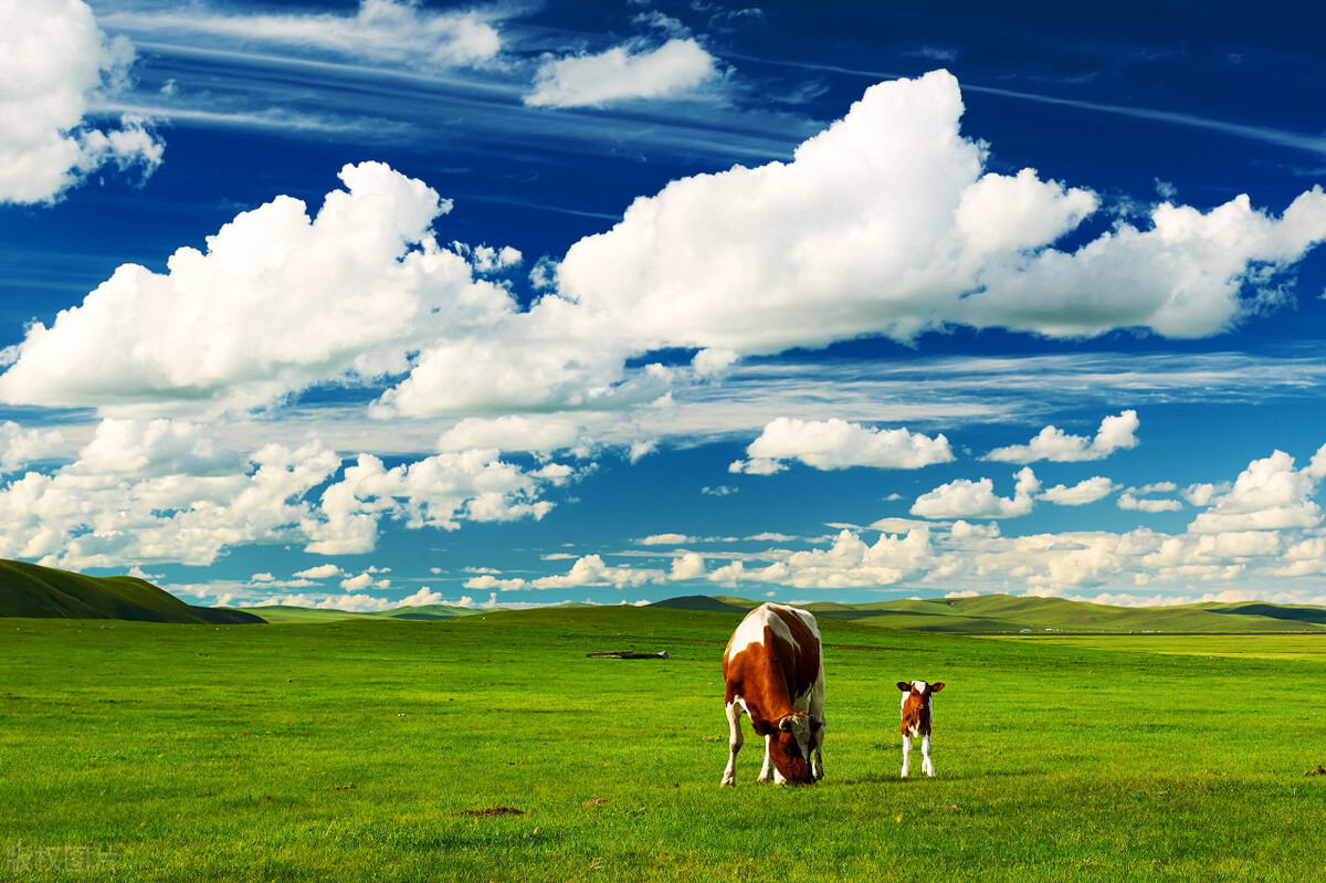 中国十大刺激景点,中国十大最值得去的景点