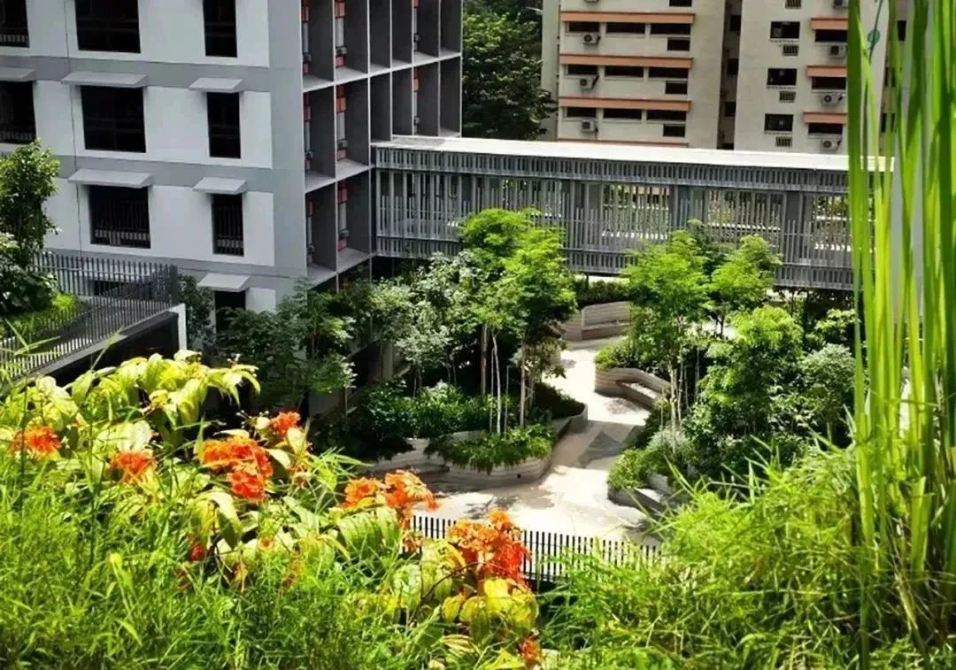 有钱年轻人如何规划养老,有钱有闲的中老年群体