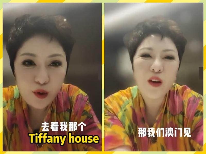 向太评价袁咏仪,向太给袁咏仪爱马仕