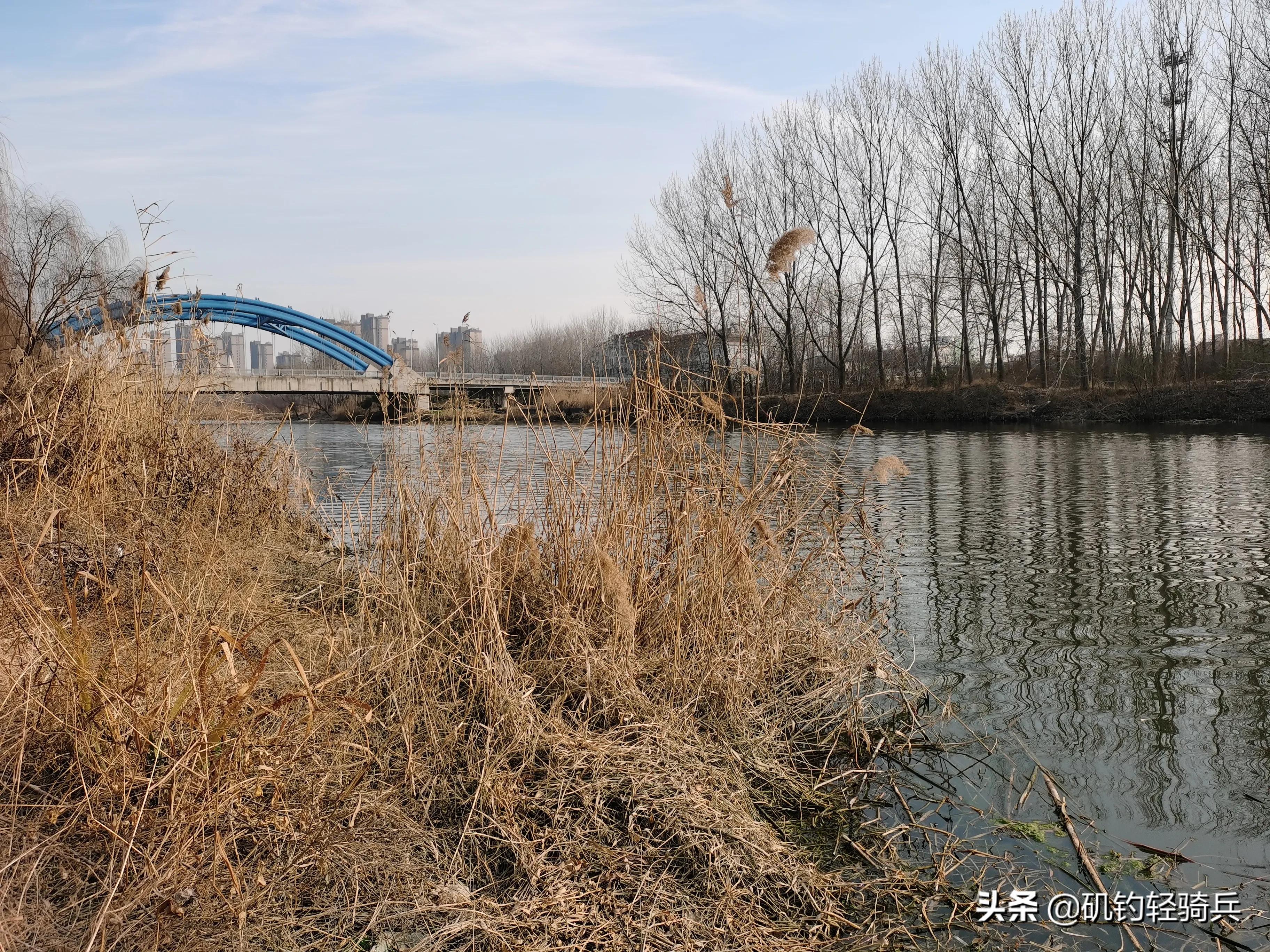 入坑钓竿,矶钓初学者入坑