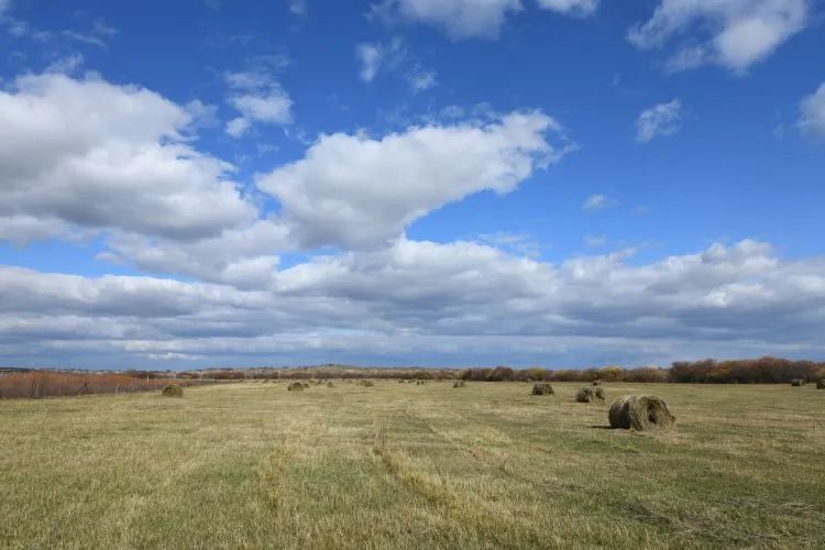 非凡十年乡村振兴,鄂温克旗三年规划