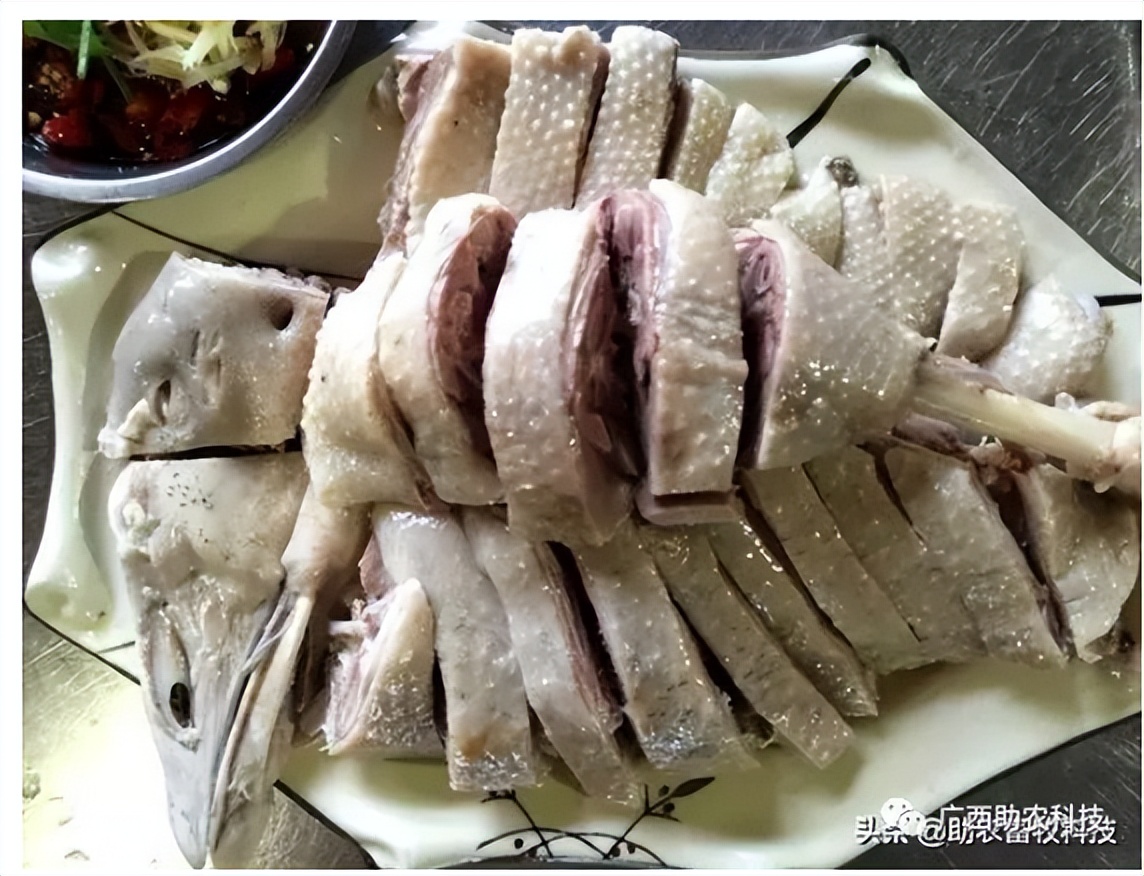 中草药发酵饲料快速养猪技巧,快速发酵养猪配方技术