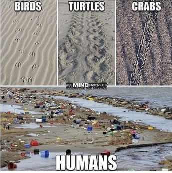 苏一格抖音,苏一格抖音号