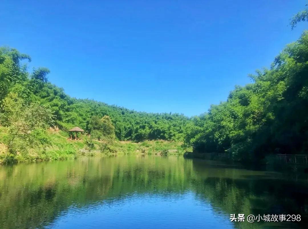 乐山旅游景点沐川竹海,乐山竹海风景区冬季