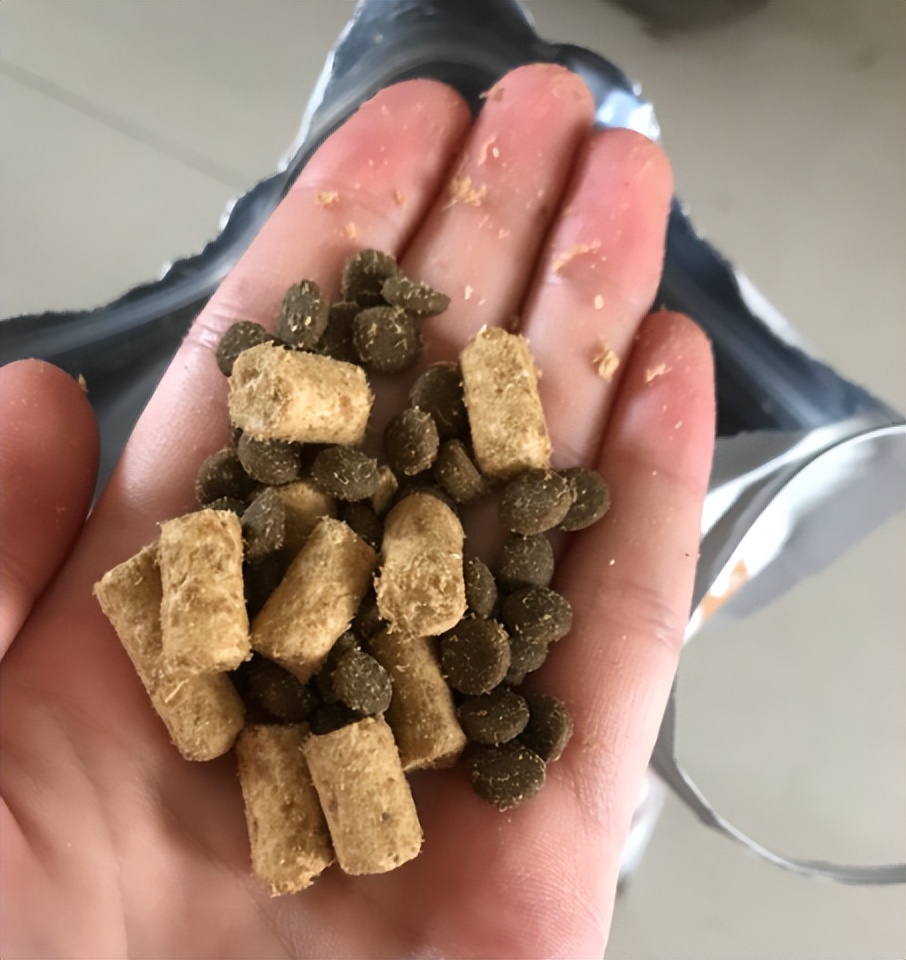 猫生猫粮真实测评,喵达猫粮猫咪吃了好吗