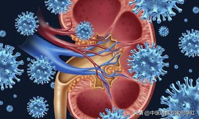 吃素对降肌酐有作用吗,吃了一个月素食肌酐降了