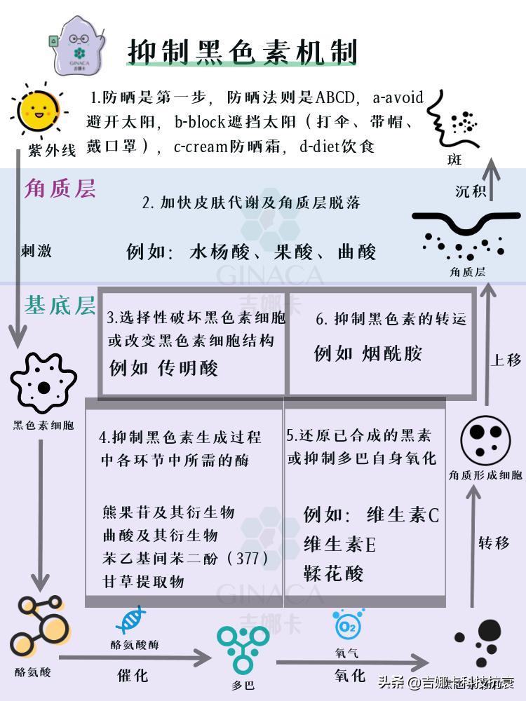 如何美白皮肤简单方法是什么,怎样美白皮肤最快最有效