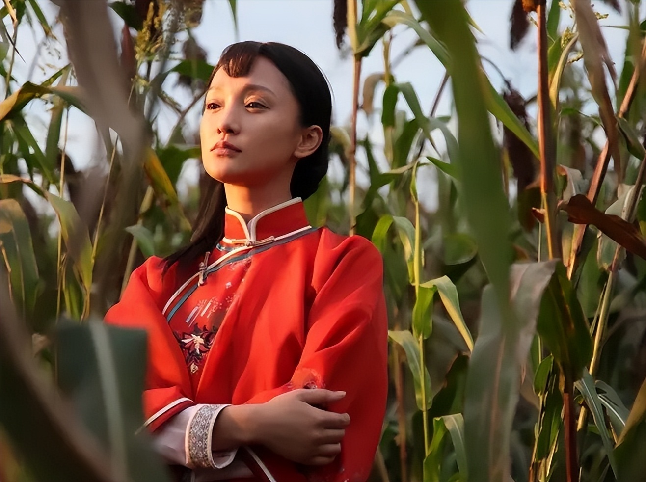 红高粱莫言经典解读,莫言红高粱深度解析