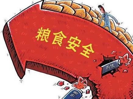 进口粮食价格上涨,粮食进口看涨粮价