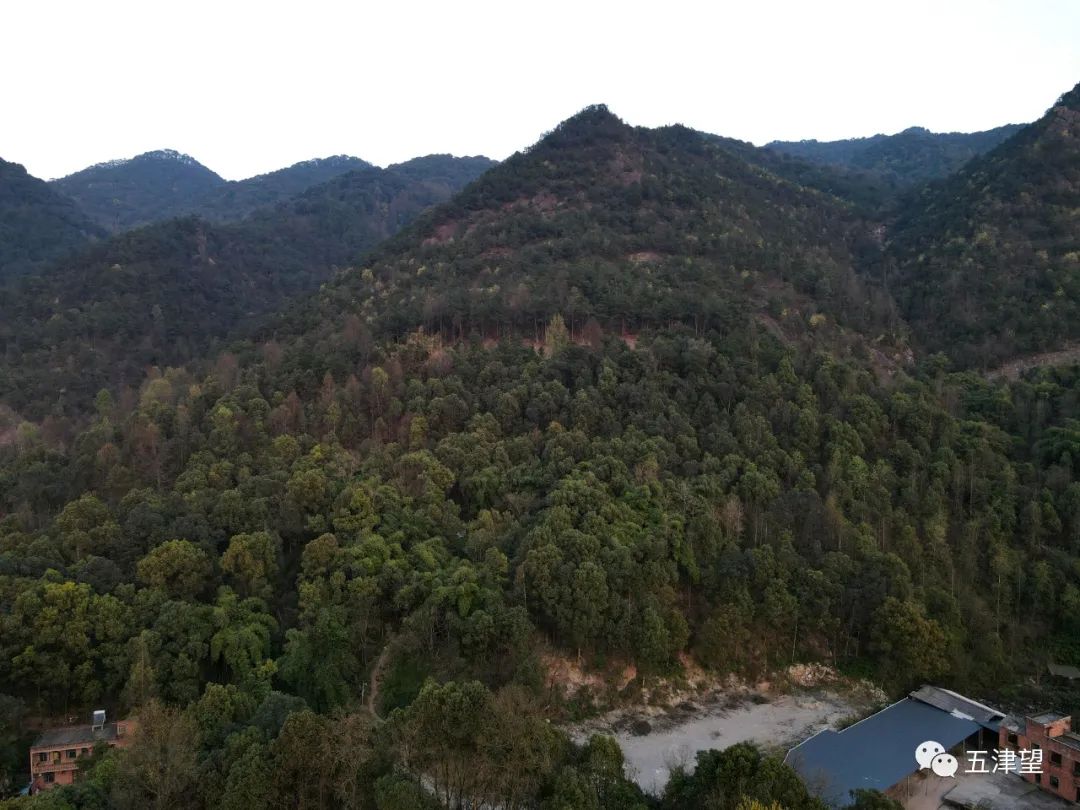 重庆有名的山庄,重庆比较出名的山庄