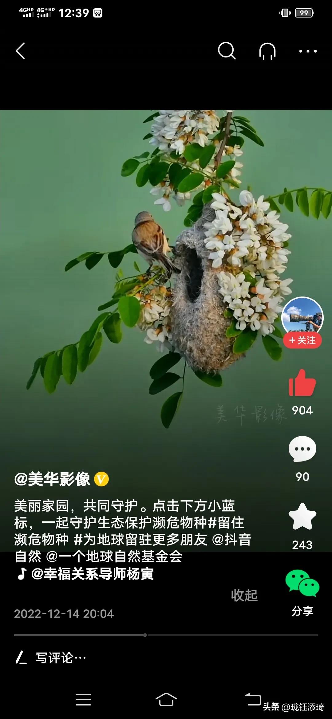 这是我见过的鸟儿最美的房子没有之一