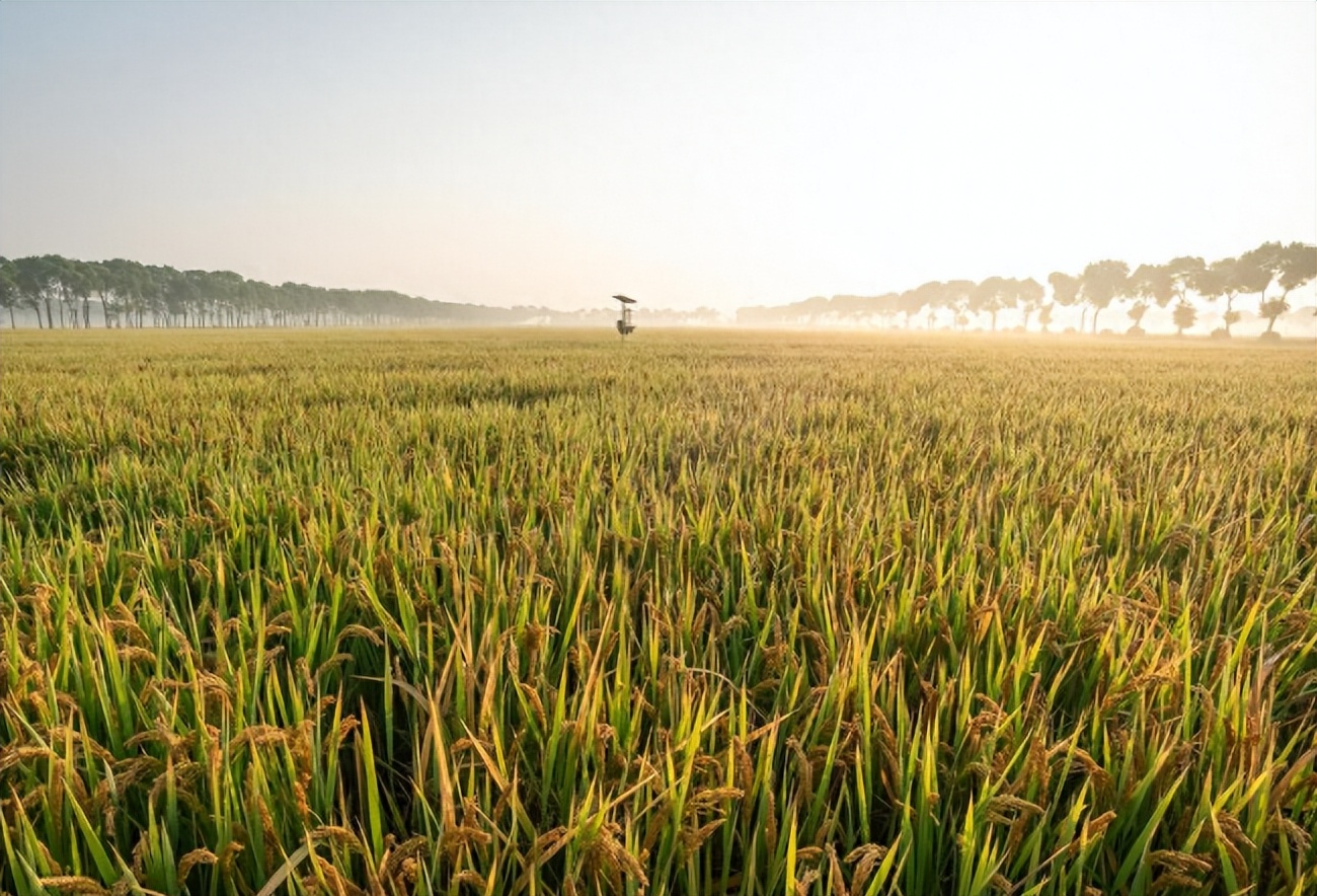 华西村吴仁宝哪年去世的,华西村吴仁宝去世
