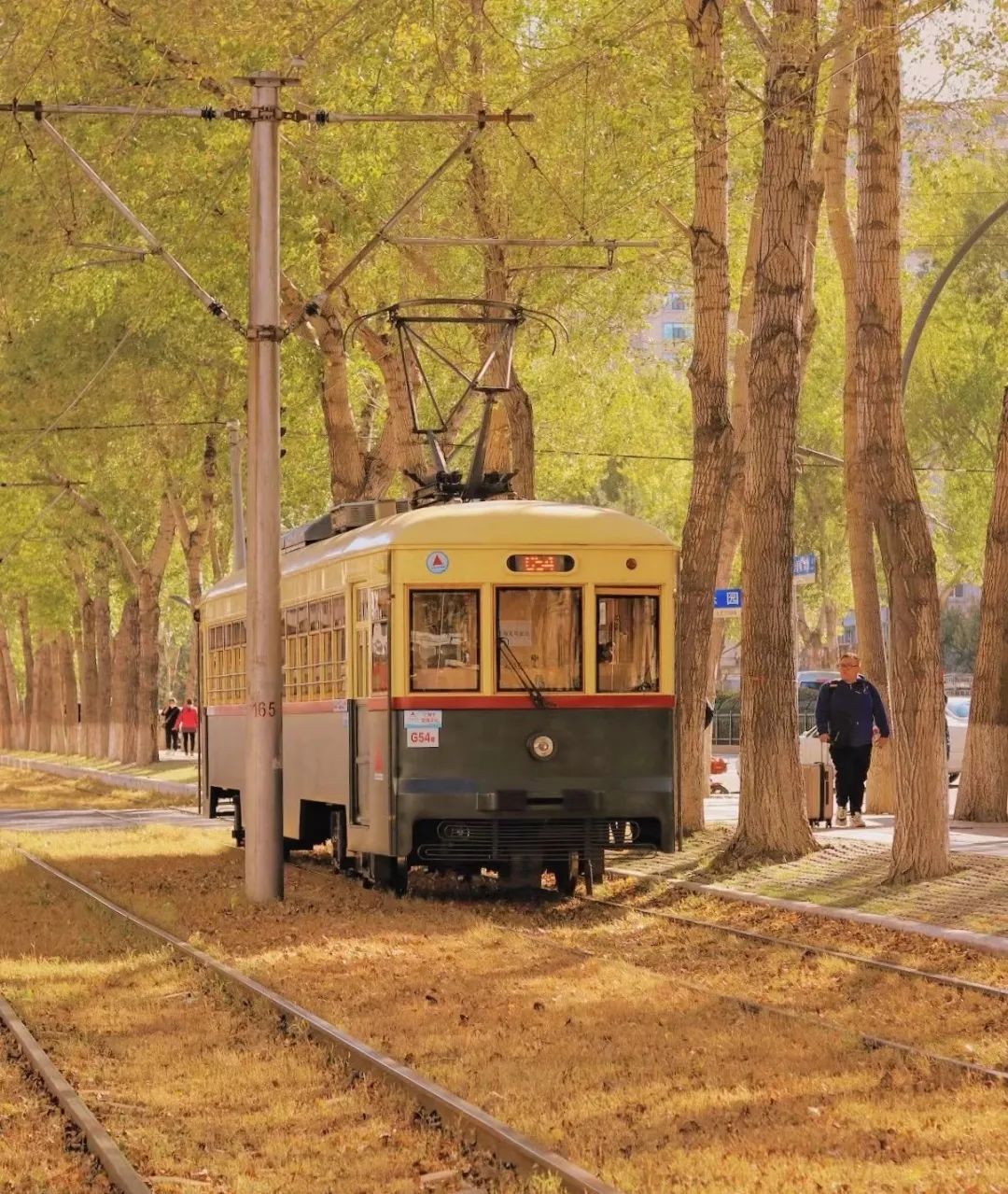 来自八月的浪漫初秋，炫影影像喊你来拍照啦