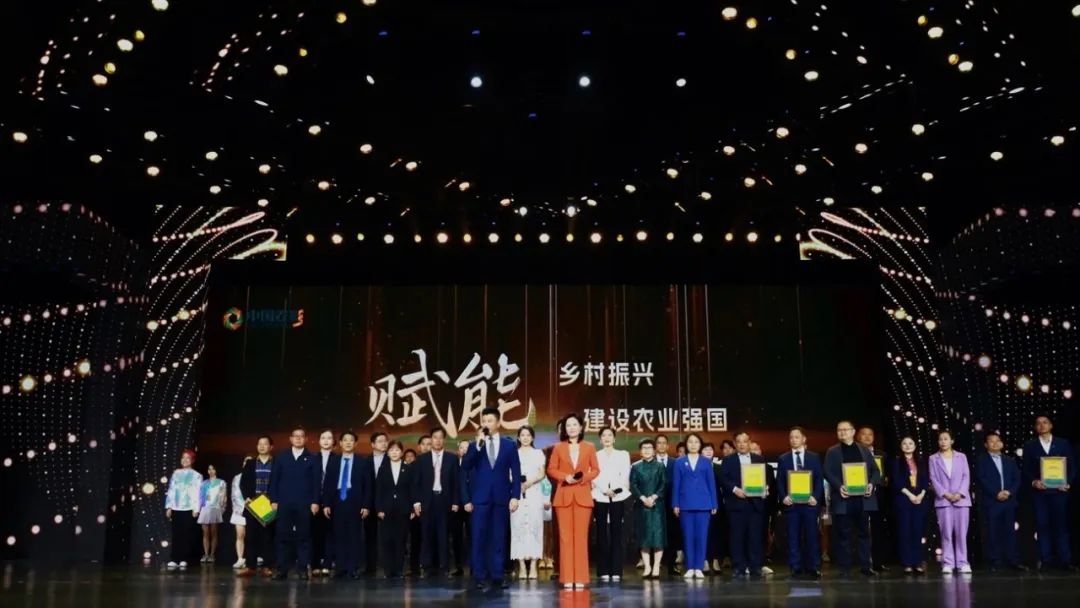 六起典型案例通报,六大纪律典型案例