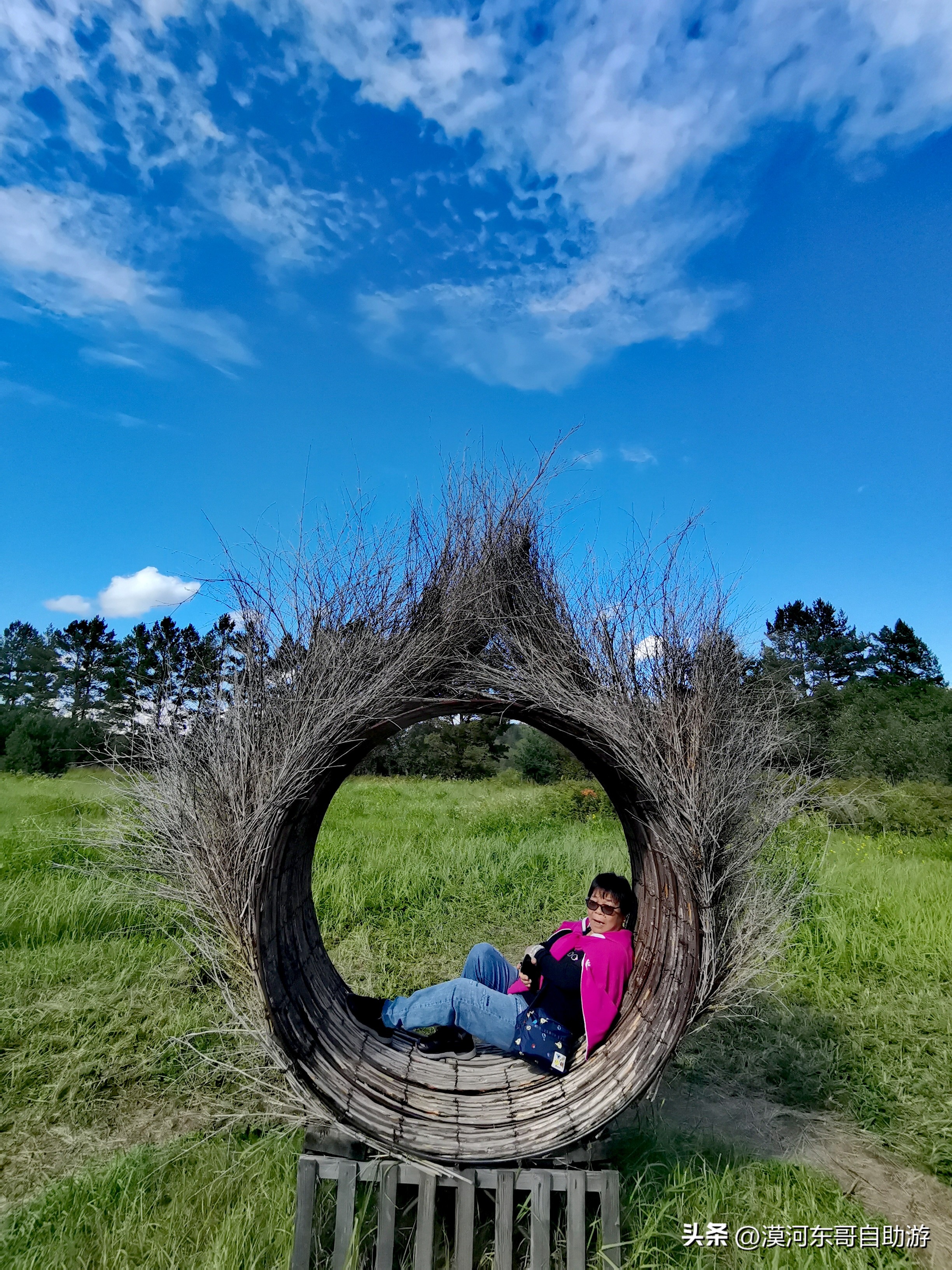 带你去看杜鹃花完整版,漠河旅游攻略一览表