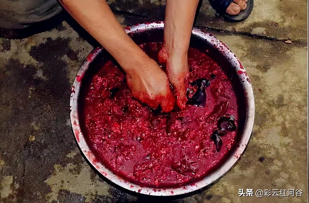 食物链顶端的云南人搞笑,云南人食物链顶端