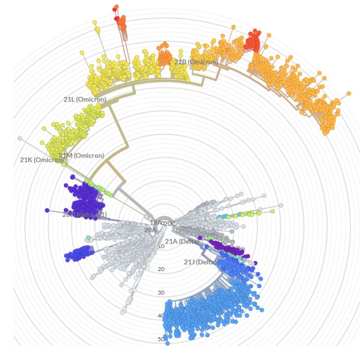 中国“躺平”，可以抄谁的作业？