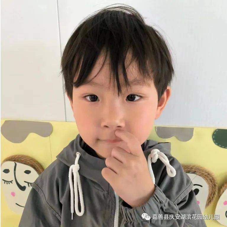 小手的探秘之旅|嘉善县庆安湖滨花园幼儿园小班组课程故事