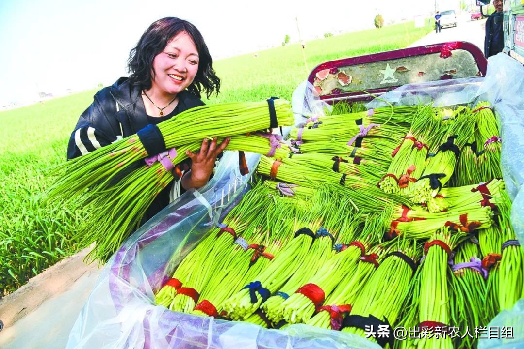 出彩新农人,出彩新农人成员